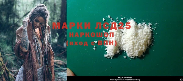 шишки Аркадак