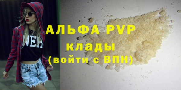шишки Аркадак