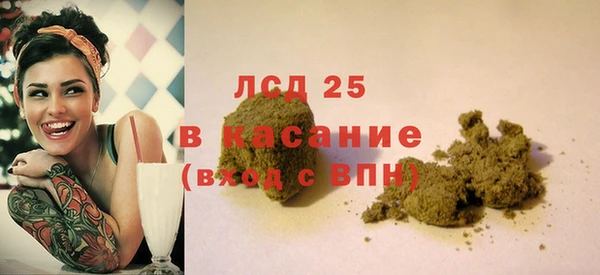 гидра Арсеньев