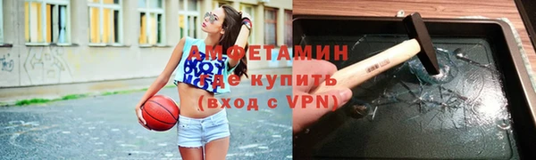 гидра Арсеньев