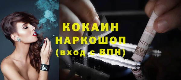 гидра Арсеньев