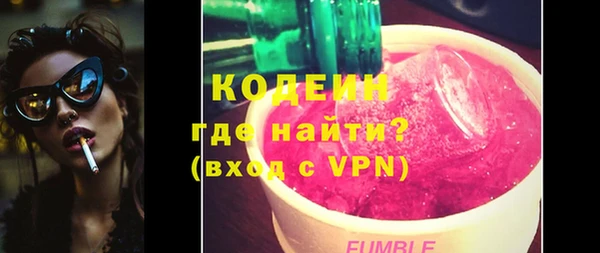 шишки Аркадак
