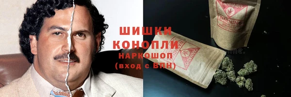 гидра Арсеньев