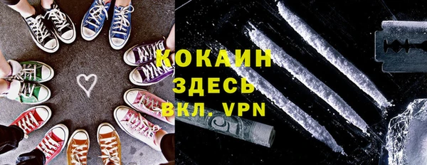 гидра Арсеньев
