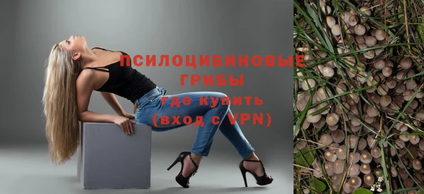 шишки Аркадак