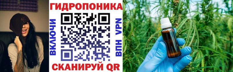 Купить закладки  Светогорск  Каннабис Amnesia 